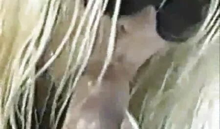 Brave trẻ bitch là không averse đến Mẹ kiếp với cô ấy bạn trai trong nhà vệ phim sec lon dit nguoi sinh của một quán cà phê