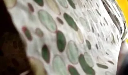 Một chàng trai fim sec thu như một chuyên gia khiêu dâm ngôi sao châu Á